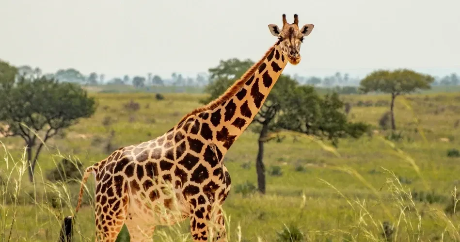 Top Kid-Friendly Attractions and Activities in Los Angeles